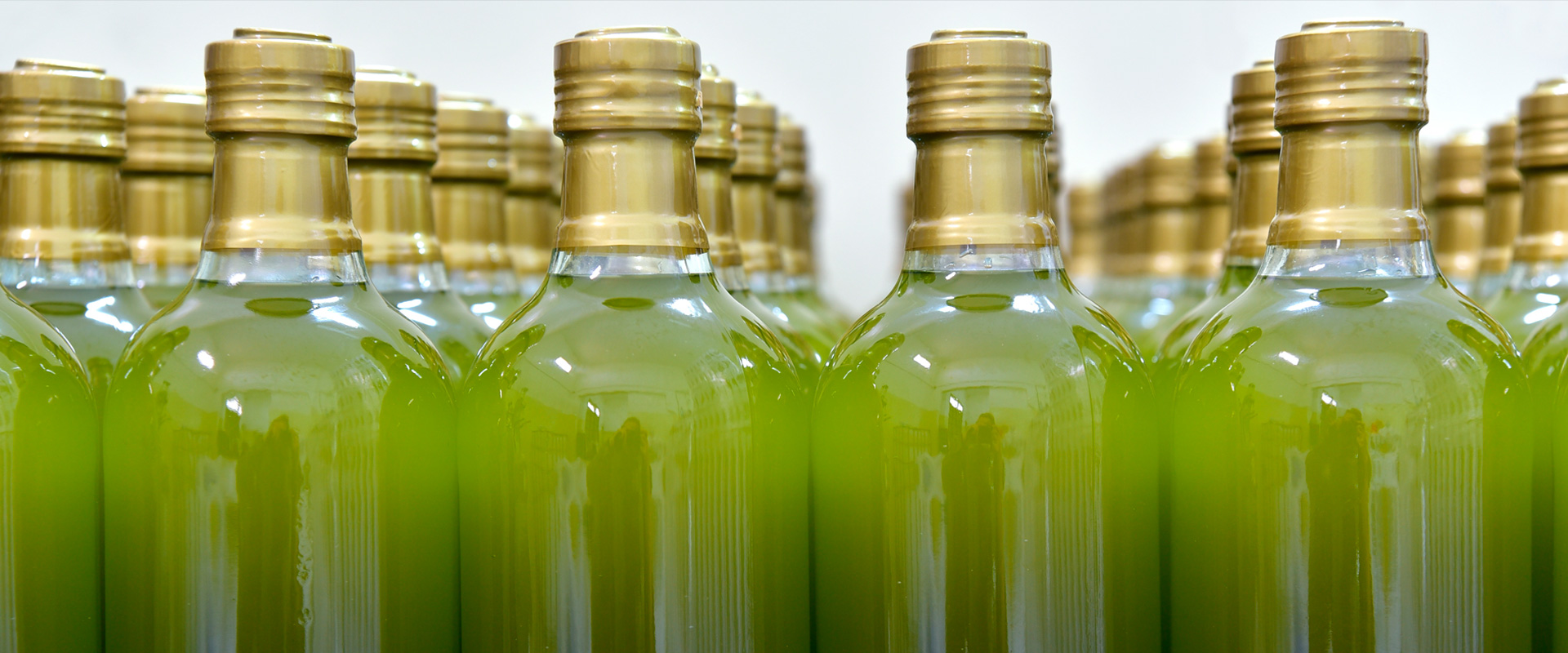 Plusieurs bouteilles en verre avec de l'huile d'olive